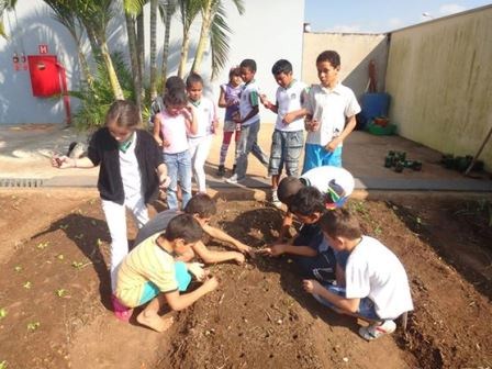 Horta promove benefícios no aprendizado dos alunos 