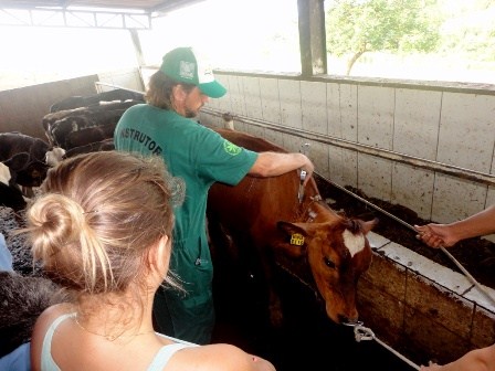 Produção de Silagem é tema de capacitação 