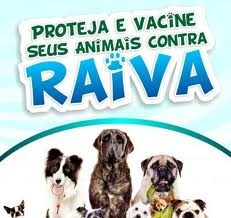 Município vacina cães e gatos contra raiva 