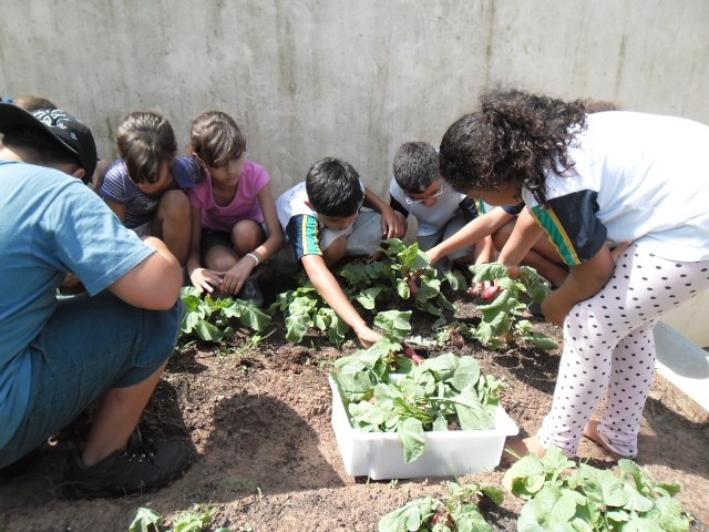 Alunos do Criança Ativa cultivam horta própria 