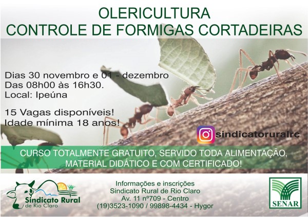 Olericultura - Controle de Formigas Cortadeiras