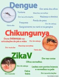 Período chuvoso reforça alerta para Dengue, Zika e Chikungunya 