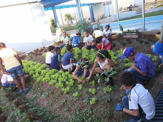 Horta promove benefícios no aprendizado dos alunos 